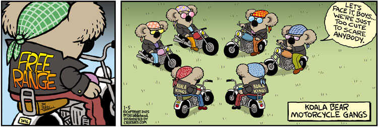 Free Range for Jan 05, 2025