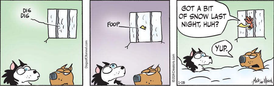 Dogs of C-Kennel for Jan 15, 2024