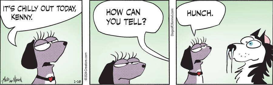 Dogs of C-Kennel for Jan 16, 2024