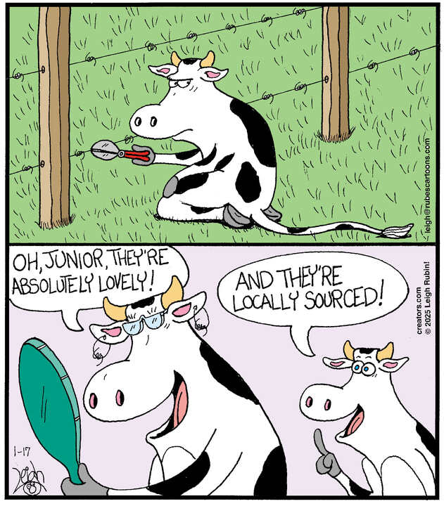 Rubes® for Jan 17, 2025