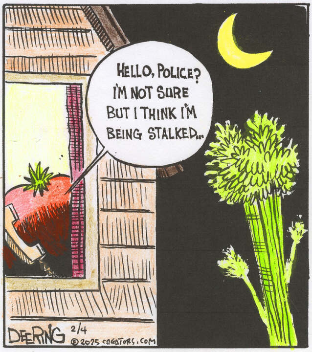 Strange Brew for Feb 04, 2025