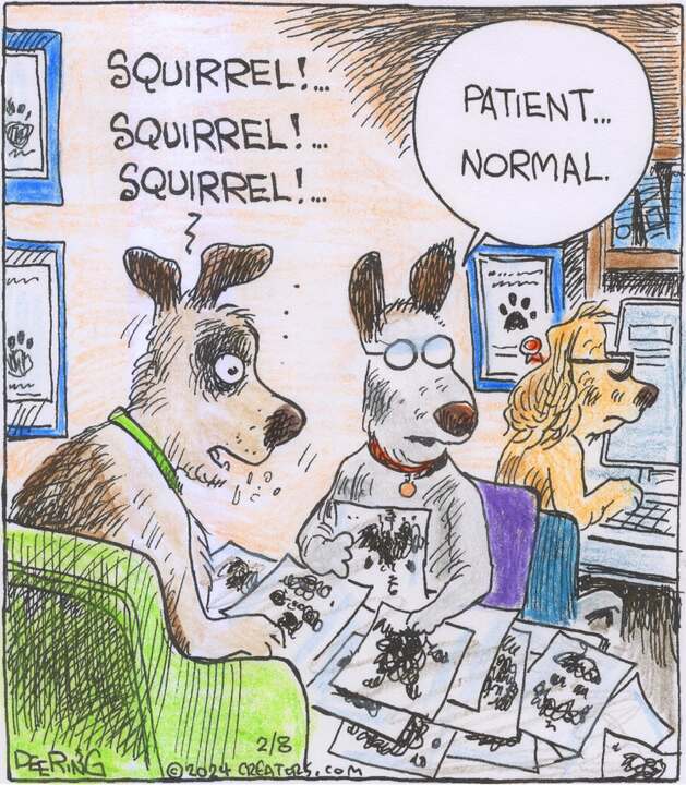 Strange Brew for Feb 08, 2024