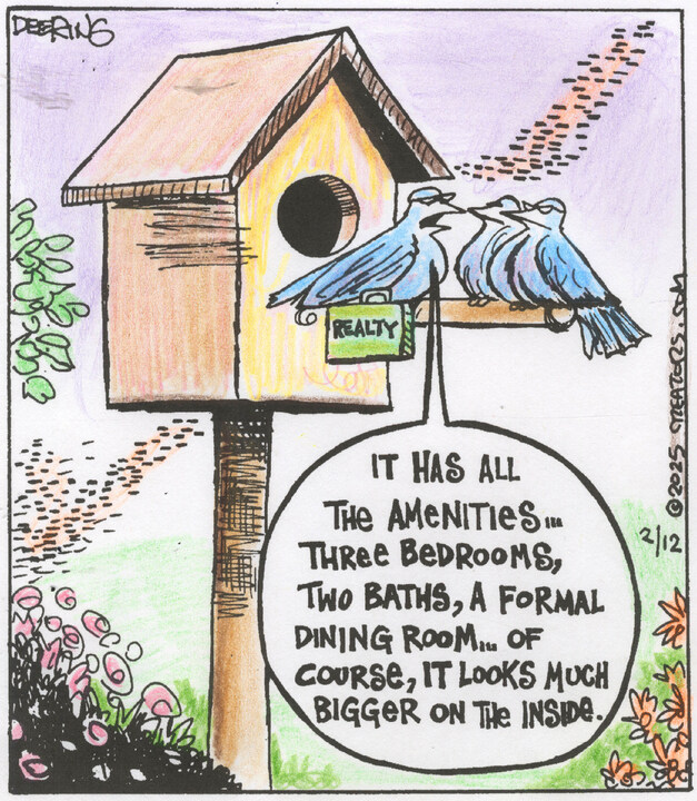 Strange Brew for Feb 12, 2025