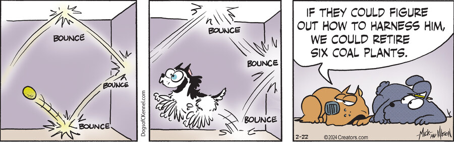 Dogs of C-Kennel for Feb 22, 2024