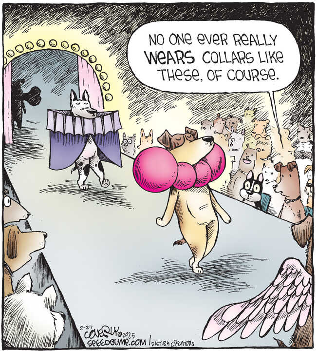 Speed Bump for Feb 27, 2025