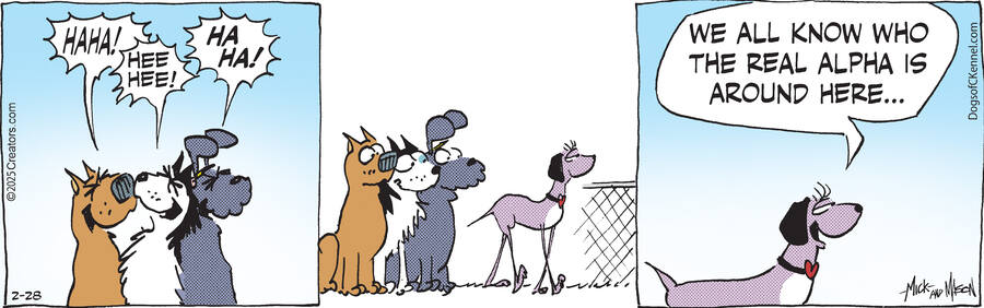 Dogs of C-Kennel for Feb 28, 2025