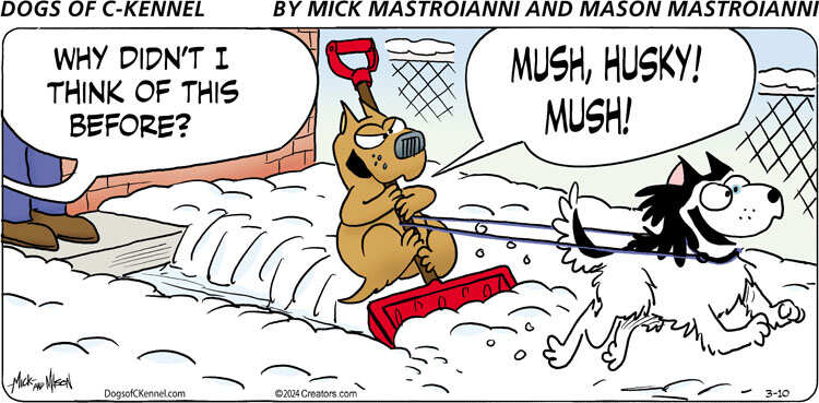 Dogs of C-Kennel for Mar 10, 2024