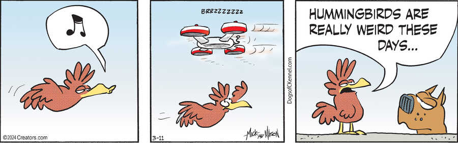 Dogs of C-Kennel for Mar 11, 2024