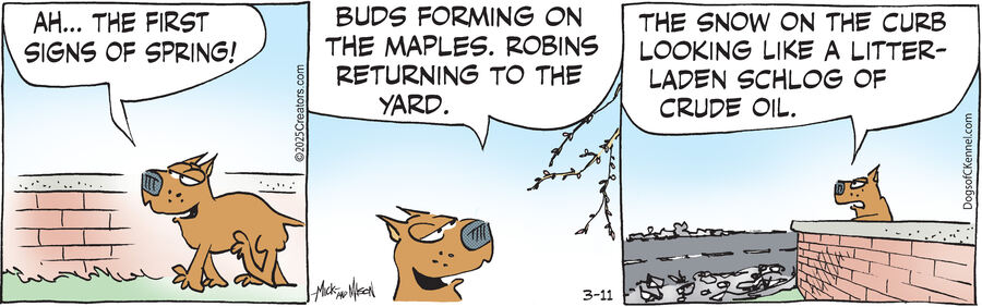 Dogs of C-Kennel for Mar 11, 2025
