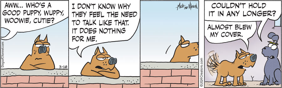 Dogs of C-Kennel for Mar 16, 2024