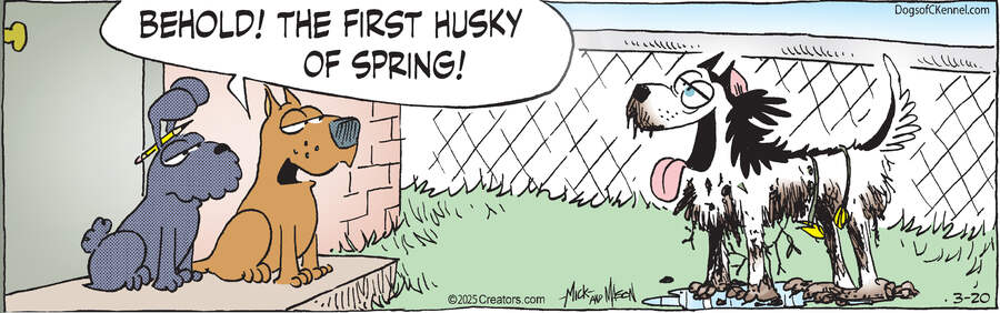 Dogs of C-Kennel for Mar 20, 2025