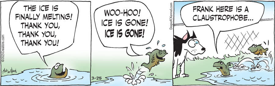 Dogs of C-Kennel for Mar 25, 2025