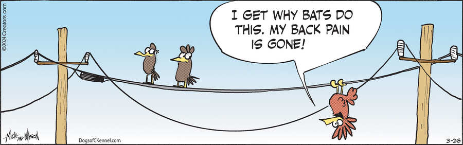 Dogs of C-Kennel for Mar 26, 2024