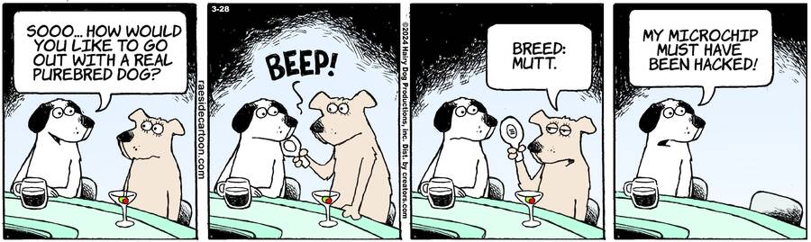 The Other Coast for Mar 28, 2024