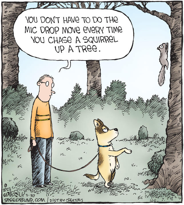 Speed Bump for Mar 30, 2023