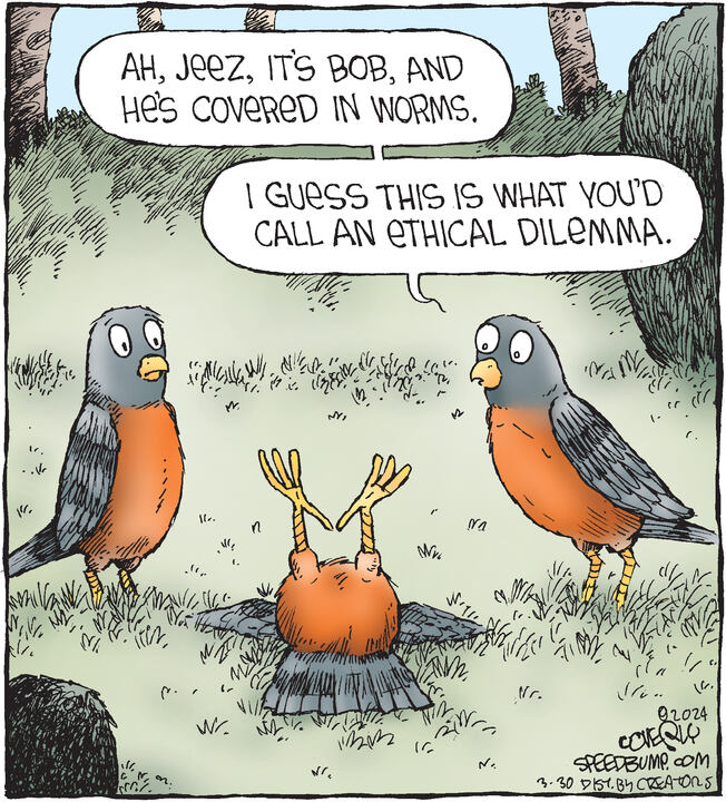 Speed Bump for Mar 30, 2024