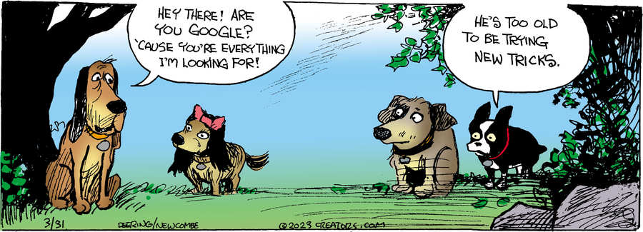 Zack Hill for Mar 31, 2023