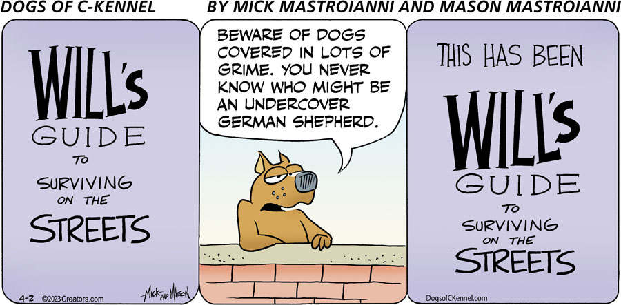 Dogs of C-Kennel for Apr 02, 2023