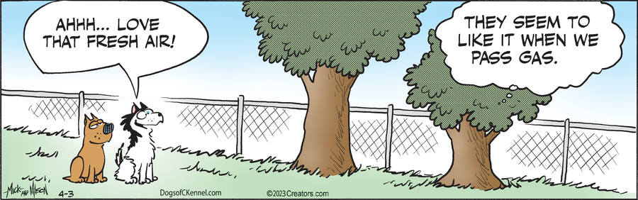 Dogs of C-Kennel for Apr 03, 2023