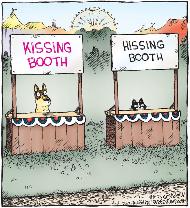 Speed Bump for Apr 11, 2023