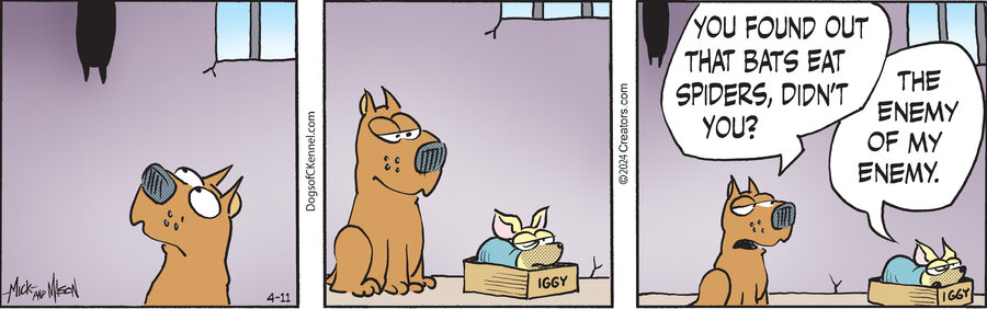 Dogs of C-Kennel for Apr 11, 2024