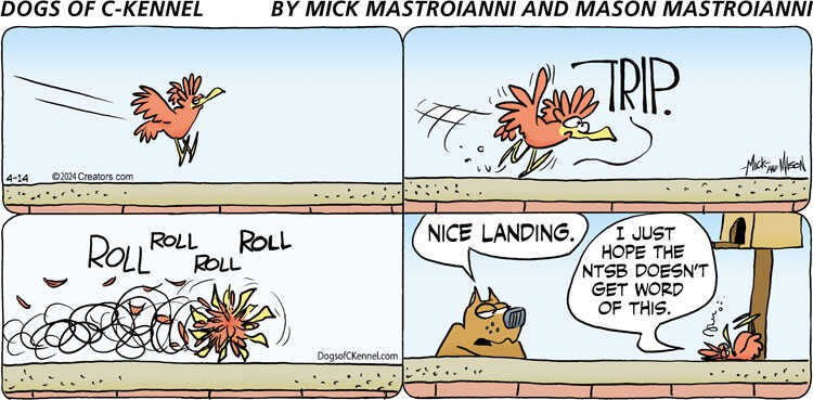 Dogs of C-Kennel for Apr 14, 2024