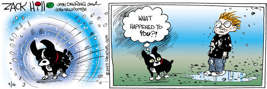 Zack Hill for Apr 16, 2023