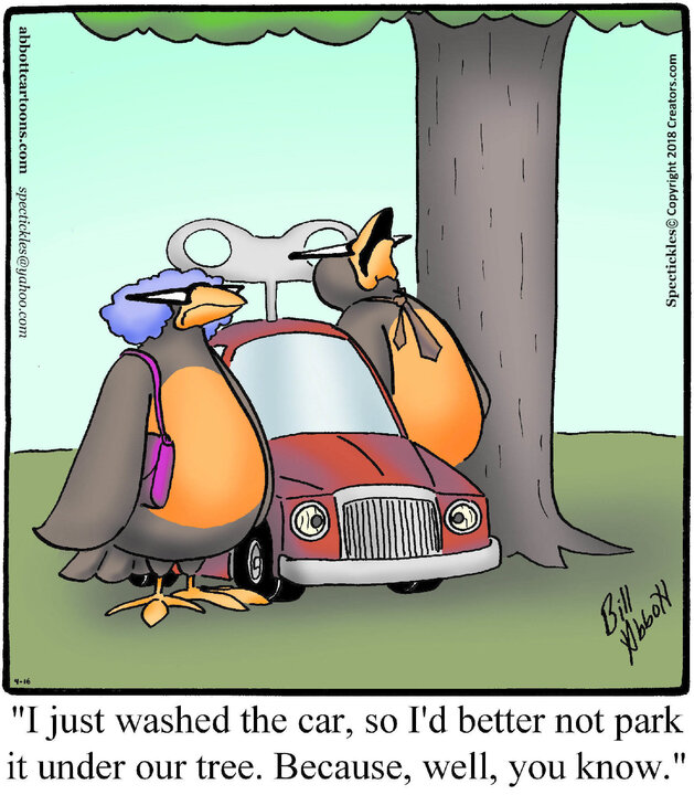 Spectickles for Apr 16, 2024