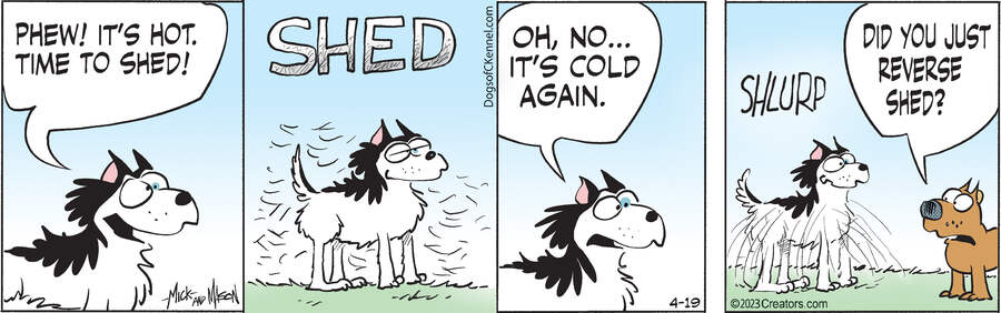 Dogs of C-Kennel for Apr 19, 2023