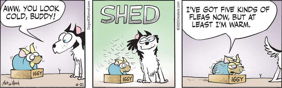 Dogs of C-Kennel for Apr 21, 2023