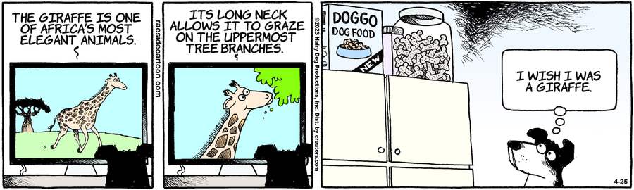 The Other Coast for Apr 25, 2023