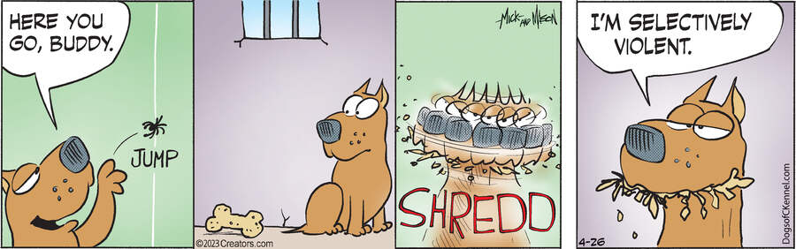 Dogs of C-Kennel for Apr 26, 2023