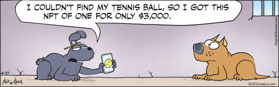 Dogs of C-Kennel for Apr 27, 2023