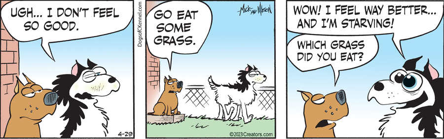 Dogs of C-Kennel for Apr 29, 2023