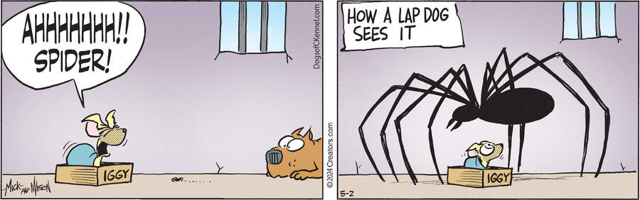 Dogs of C-Kennel for May 02, 2024