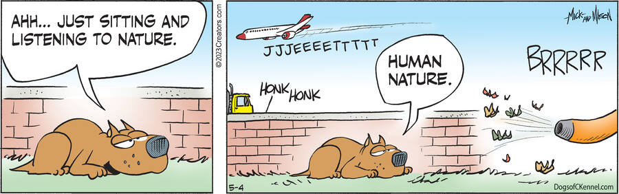 Dogs of C-Kennel for May 04, 2023