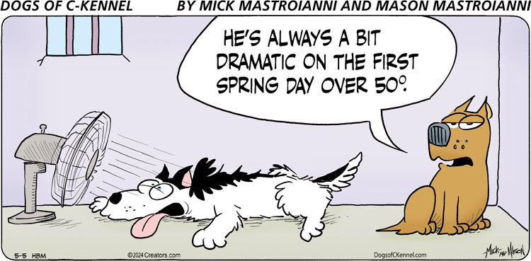 Dogs of C-Kennel for May 05, 2024