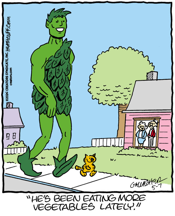 Heathcliff for May 07, 2024
