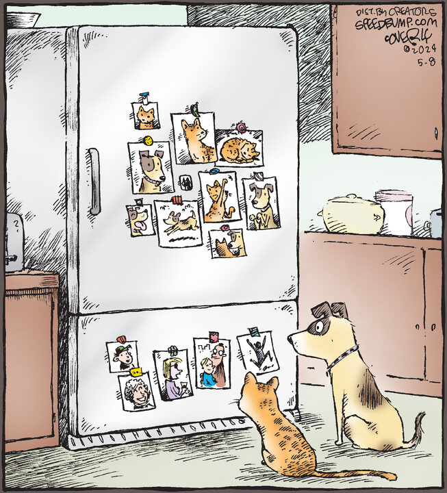 Speed Bump for May 08, 2024