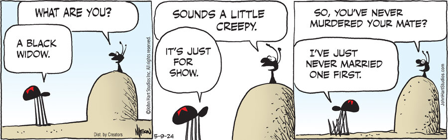 B.C. for May 09, 2024