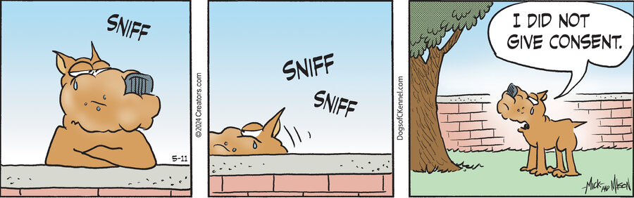 Dogs of C-Kennel for May 11, 2024