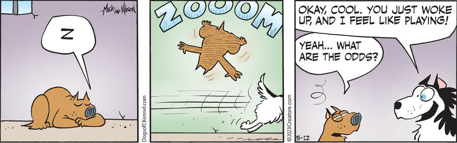 Dogs of C-Kennel for May 12, 2023