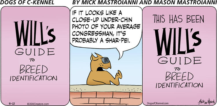 Dogs of C-Kennel for May 12, 2024