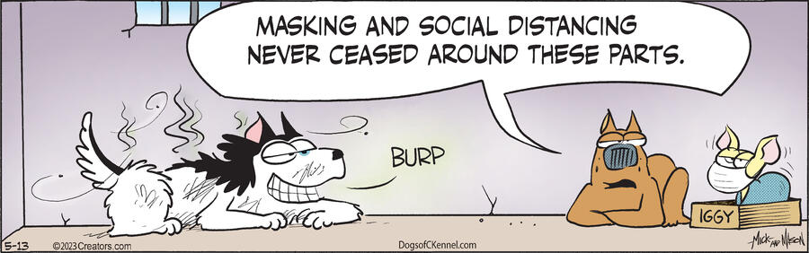 Dogs of C-Kennel for May 13, 2023