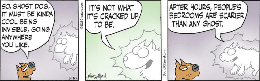 Dogs of C-Kennel for May 16, 2023