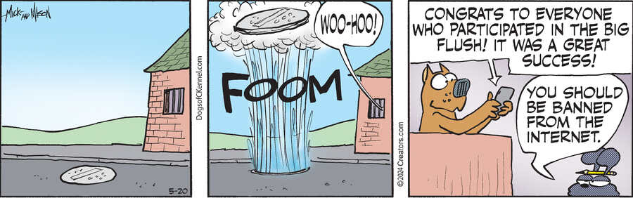 Dogs of C-Kennel for May 20, 2024