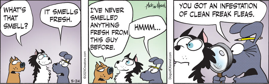 Dogs of C-Kennel for May 24, 2023