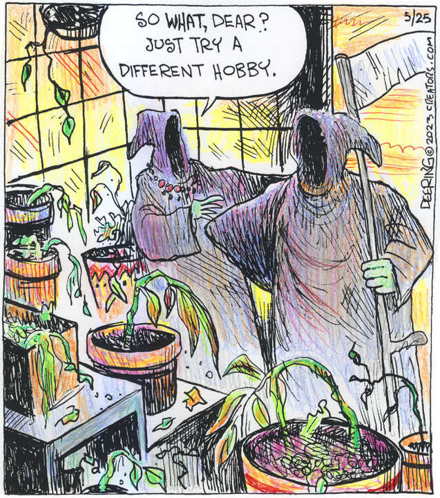 Strange Brew for May 25, 2023