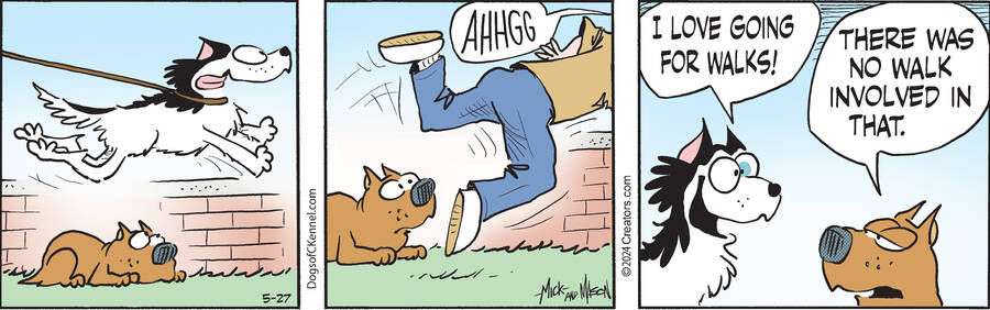 Dogs of C-Kennel for May 27, 2024