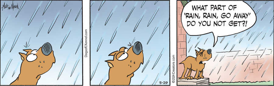 Dogs of C-Kennel for May 29, 2024